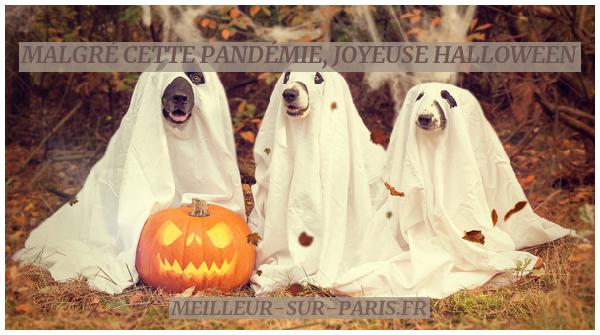 Bonne fête d'Halloween 2020 - Idées de costumes et décorations effrayantes